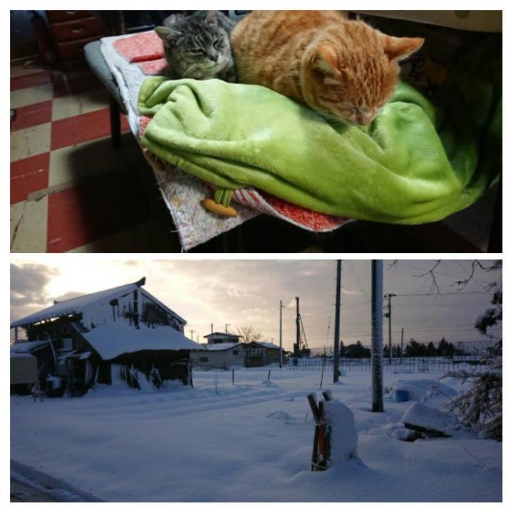 953b44ee bb53 45d4 831e 5b710a660ad0 1582076181943