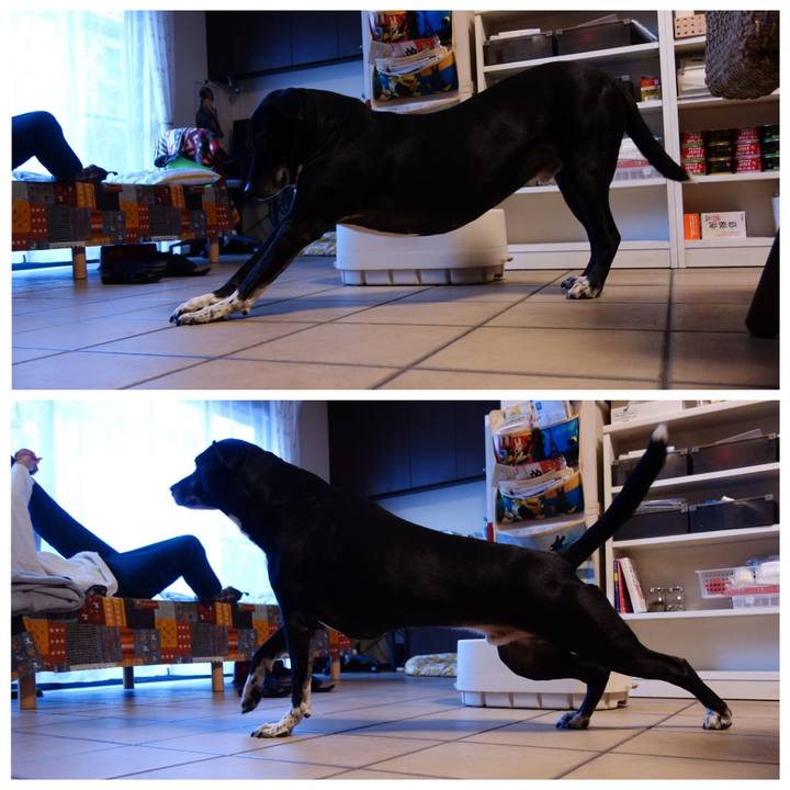 953b51bf 3a83 40b3 ac54 8a20d7d073e4 1739495282799