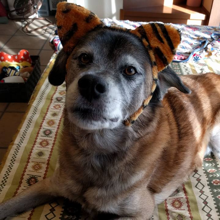 953b5c3d 5273 4ff5 852d 29e82678e076 1540359098745