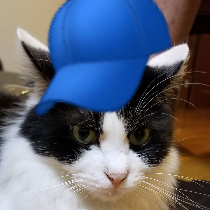 953b7278 47e0 4f97 9d1a d734dd38d994 1597983079425