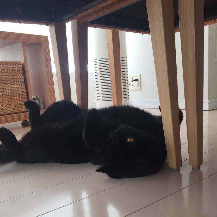 953b9d0b a20f 450a aa6d d3342ecadde1 1532232771331