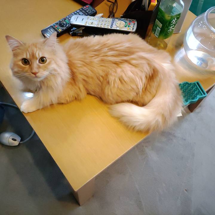 953bc178 b591 4761 aedf c253a5d5620e 1686532176340