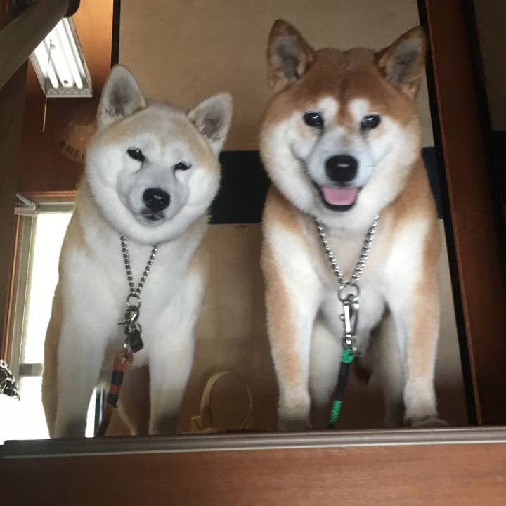 953bd04e 5e8d 44d1 92fb 06208397234e 1533439539064