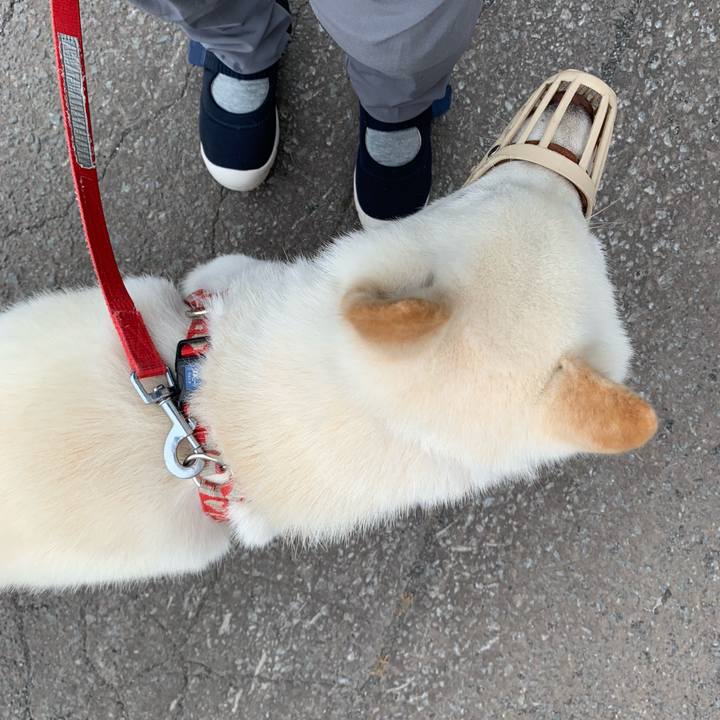 953bd6c4 d387 40be a9cb 4a8a191ad1ce 1562879084315