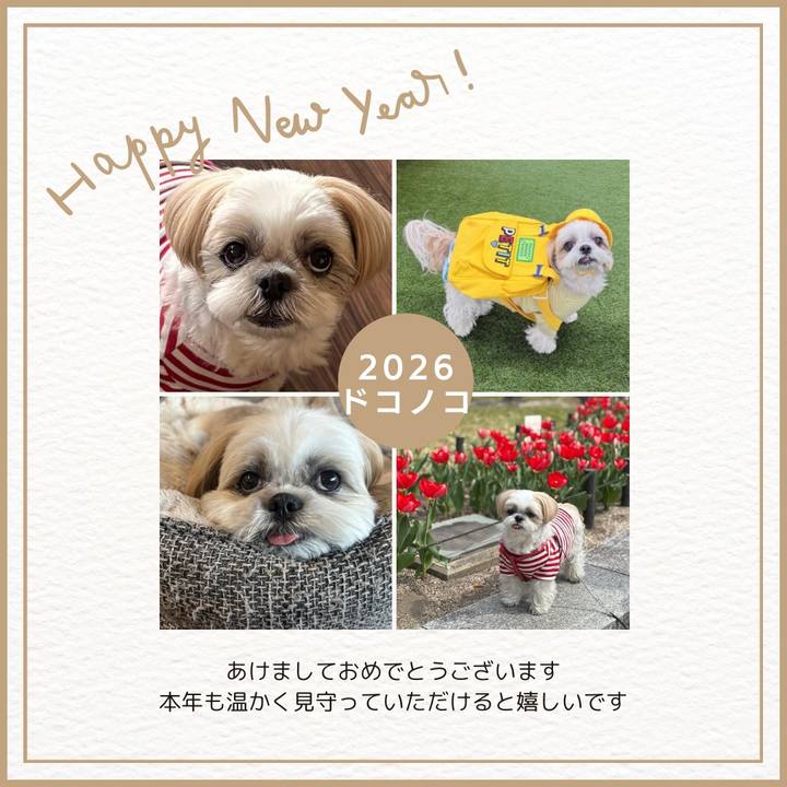 953c3ca0 2554 47d8 a2ef ac9f222ba3bc 1767268798633