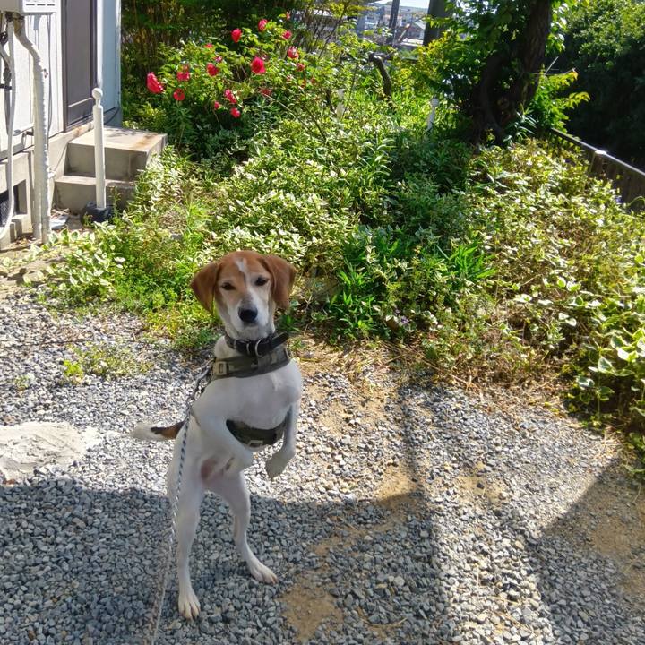 953c59c2 c600 4f38 a2d5 318c9585ef76 1715775585308