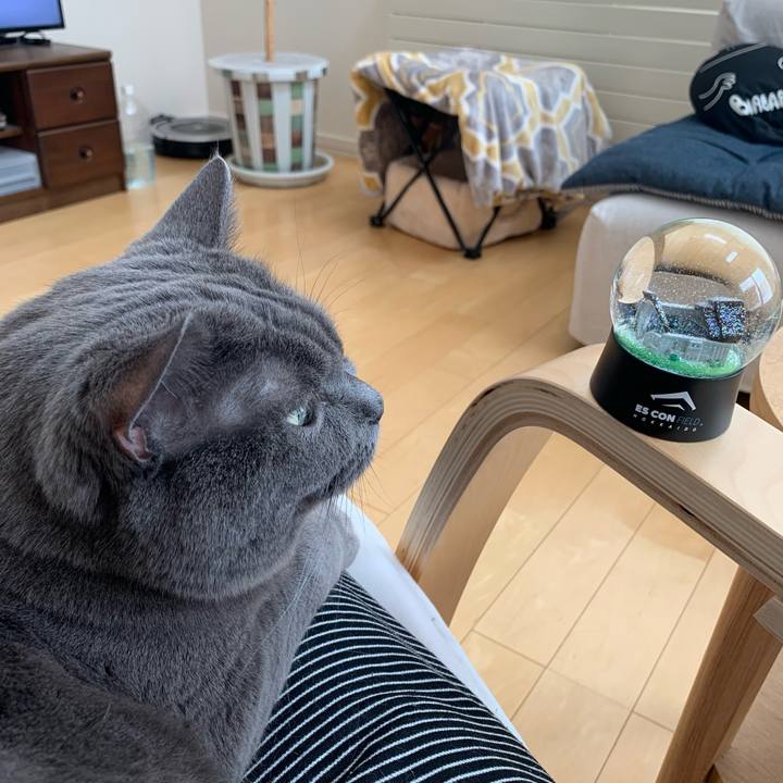 953c75a3 715e 4f61 8017 d21d390213e2 1658358554301