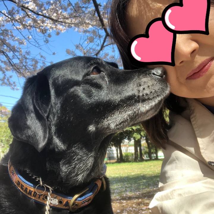 953c78e8 8bec 4700 bf0d 7580dc3062fa 1554855862723