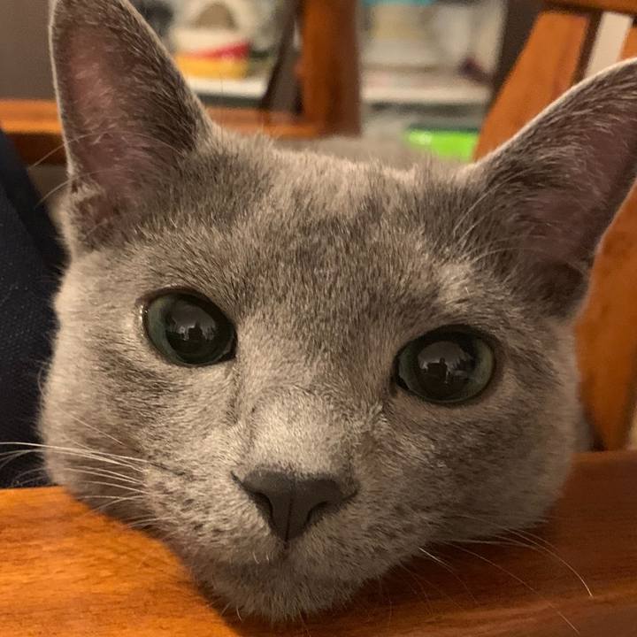 953c9b0c 3e4b 4d70 9a9e 4589d959a1d0 1576790461360