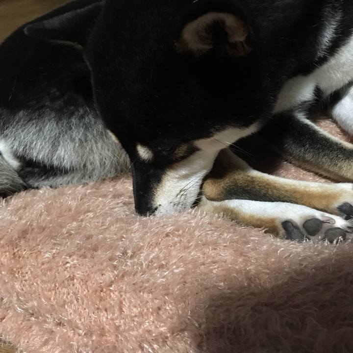 953cabbc 21b5 4912 b329 75eb4fece7e3 1536995085846