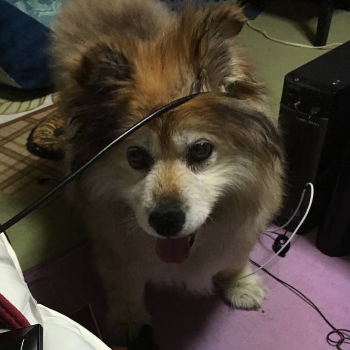 953cc9cc f8aa 4b0b 953a ab3baa1ff9c3 1641217325633