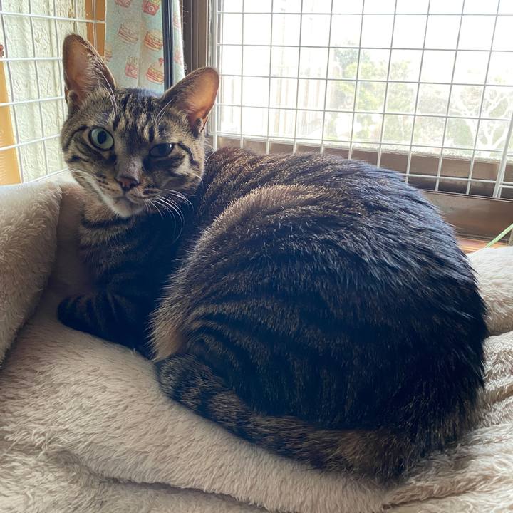 953cf319 23b5 44cc abde 176262c61e12 1611322897305