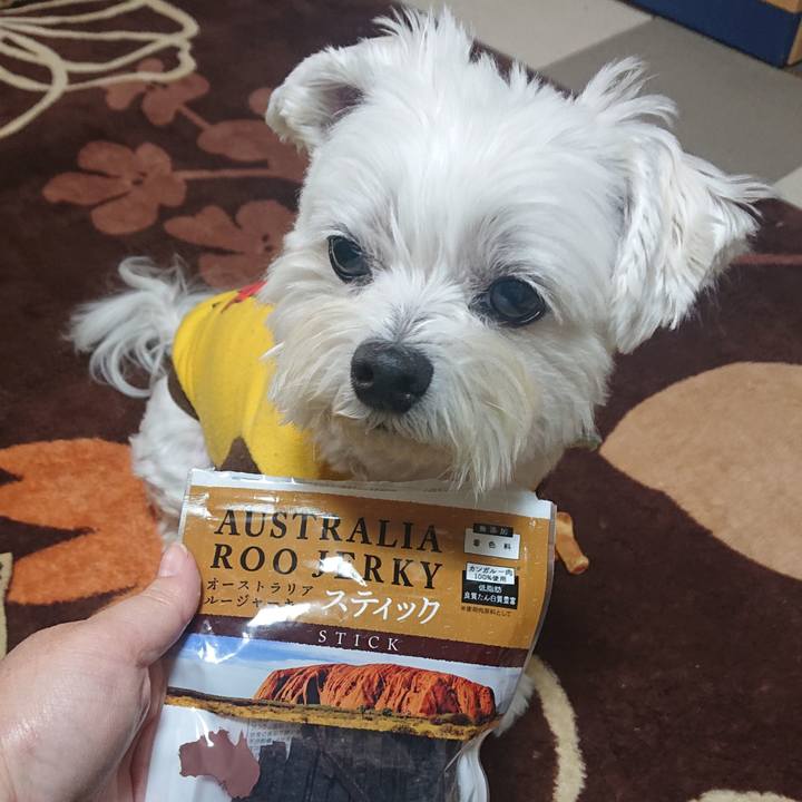 953d09b9 18ed 42f8 90db 389cc4faa71f 1638255358697