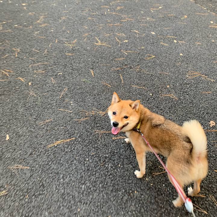 953d634b cd12 4e93 aaf0 86e1d65fbd58 1763362665498