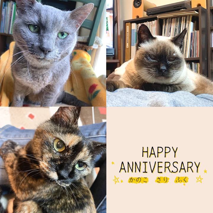 953d83df 893e 45ec ad04 6cc7ad0358fe 1651628187976