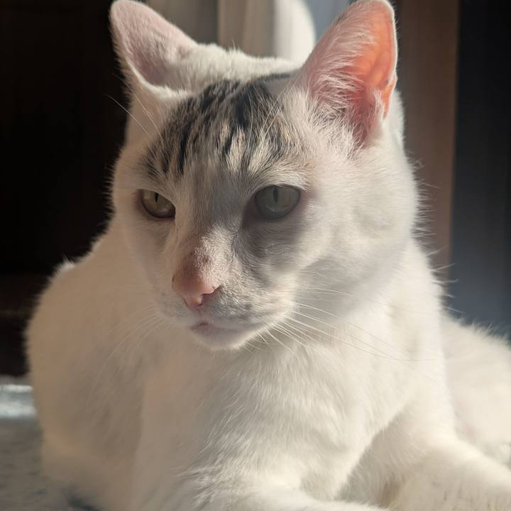 953d8e97 c7a0 45b8 babe 46ac1f5f6153 1742733572165