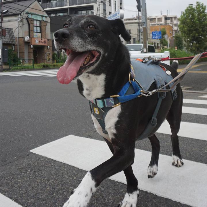 953d923e 3dda 4e94 8a95 b0f61ba1952c 1755045790683