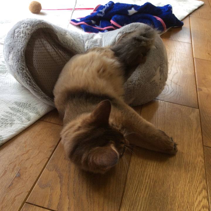 953de5e0 ecbc 4144 b155 fb7e01b01001 1574040534435