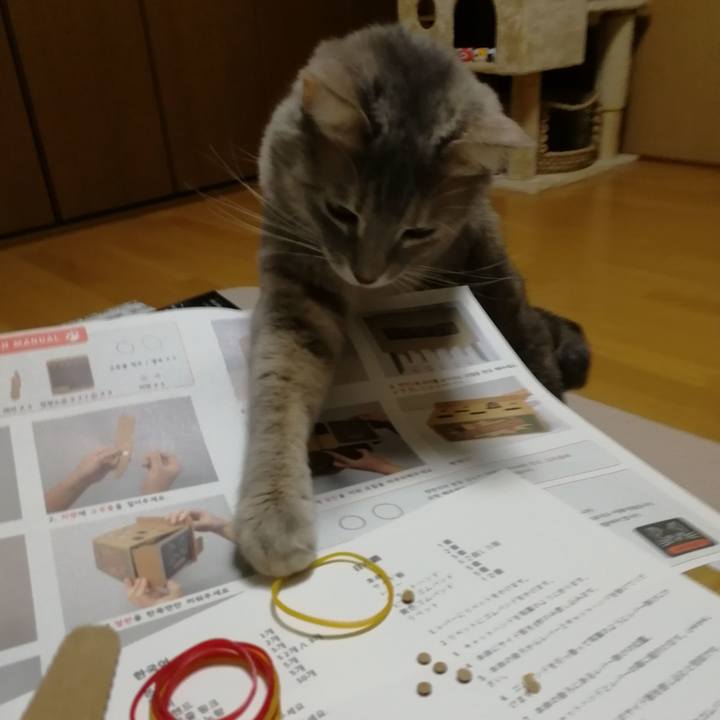 953e9616 849a 4c1c a5ca ff7536e280c4 1545659214013