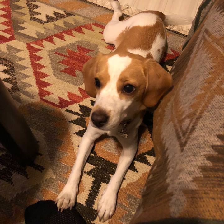 953e9708 1ae2 4e48 a30c 118d103273a1 1538406562364