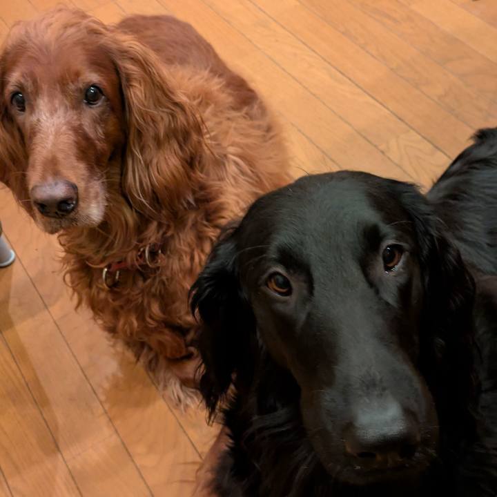 953e9d78 d5ee 40ab b58f 2577f3a23ab4 1775907439231