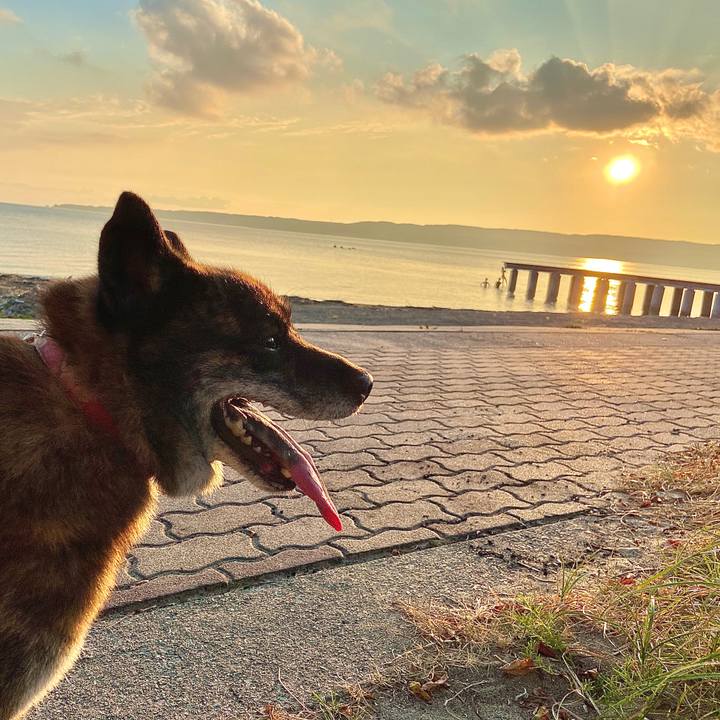 953e9e99 000a 446b 8735 1e0e6ddeff0b 1598692299394