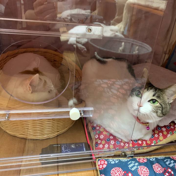 953ee620 350f 42d7 a638 6fcabcbb3b3e 1579347867791