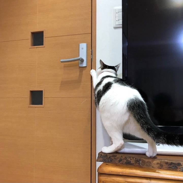 953eeaa4 a5b6 4600 a153 f08de03c5859 1638622097909