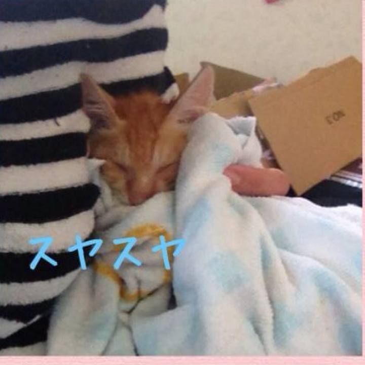 953ef6d0 a588 4a92 af36 04d12a425c52 1631335421187