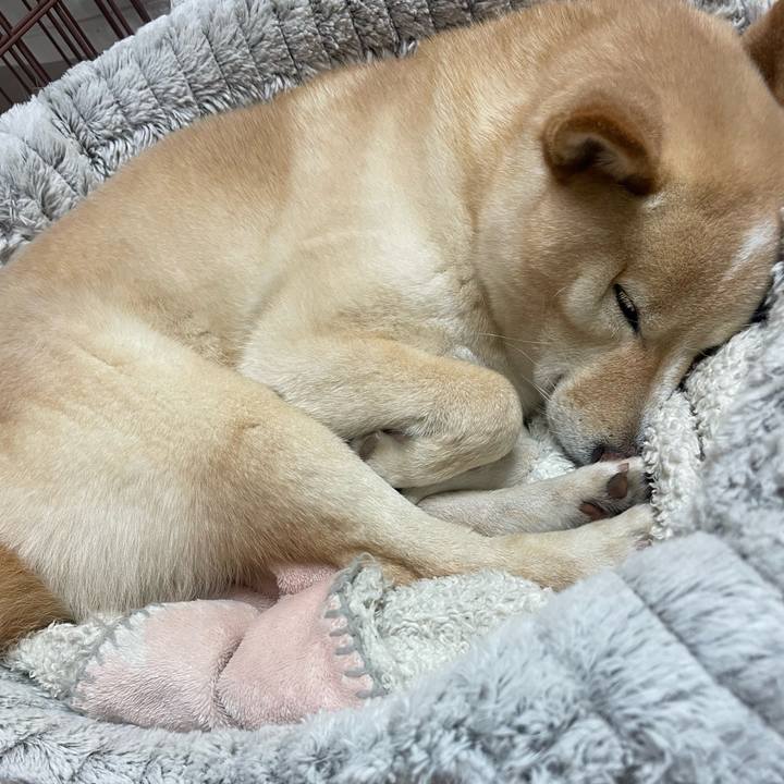 953efcbf af65 43ca b8e9 ea3994b9cef7 1674906561299