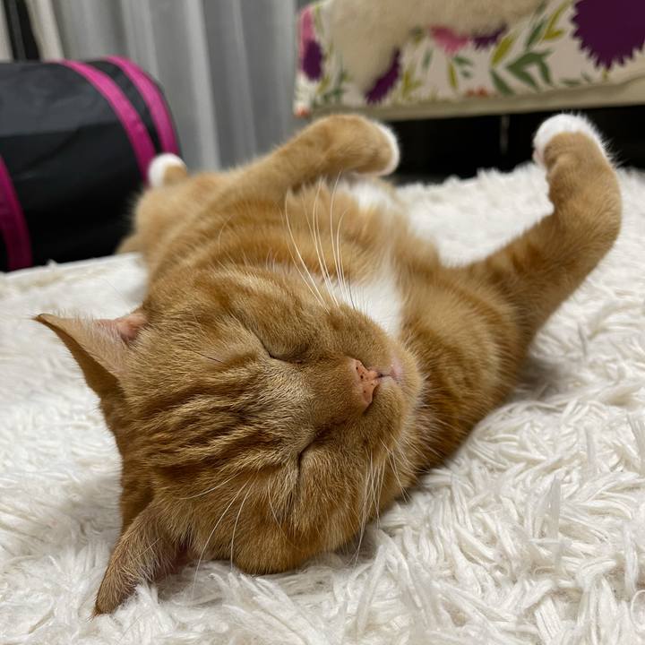 953f33f3 43eb 4618 9b5c 0eb176e0ab8d 1628429230145