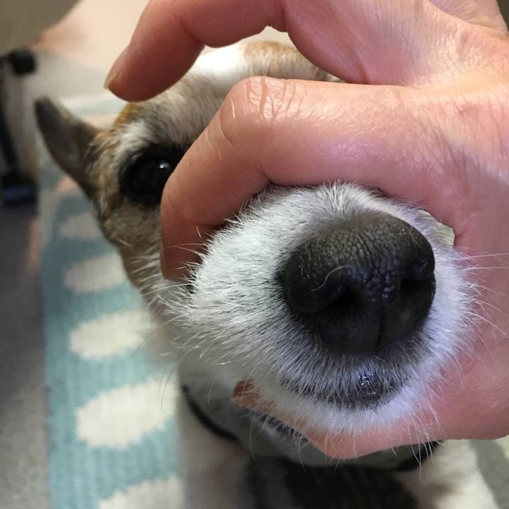 953f4009 5721 42fe 87e6 ab734041588a 1646868036761