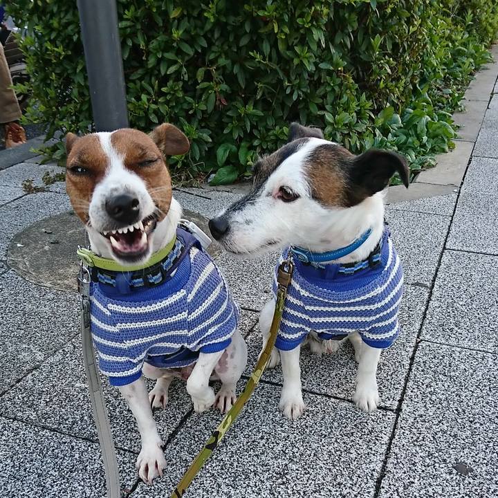 953f93c7 8160 44df 84d7 4323776d5472 1573165179925