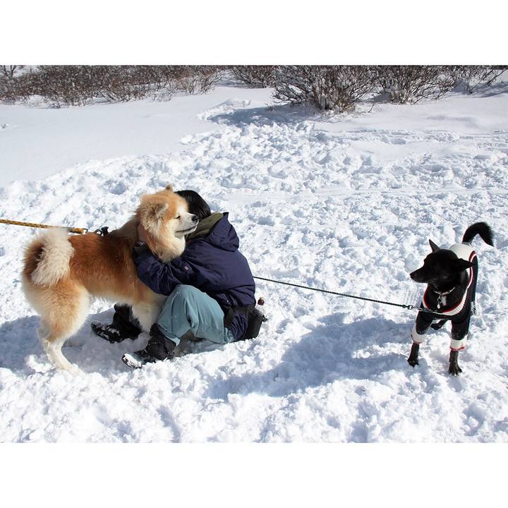 953fbc26 07a4 4d3f 8115 caaacabe786a 1519793208592