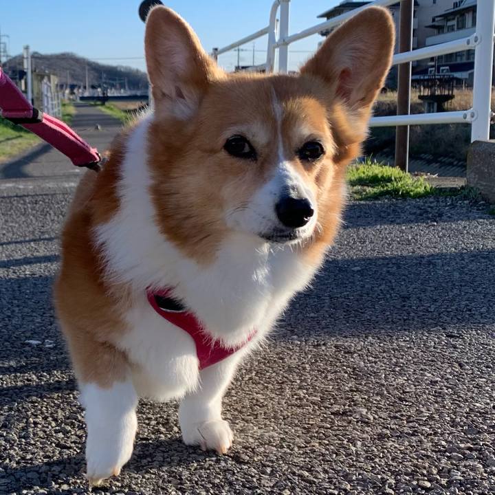 953fd025 9bae 45af b141 798ab9c97585 1709026233180