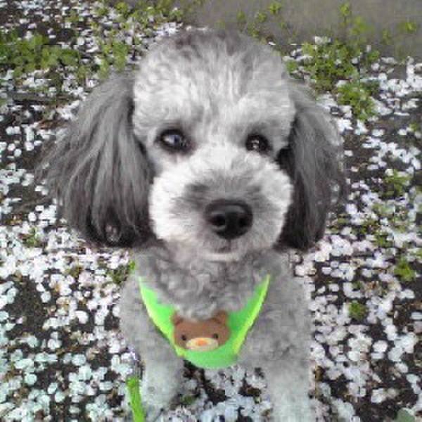 953ff817 531d 4566 920a a2e474d8c549 1695774896437