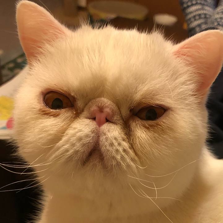 953ffc54 e00d 4f86 a7fc 7917164b34ac 1666876320954