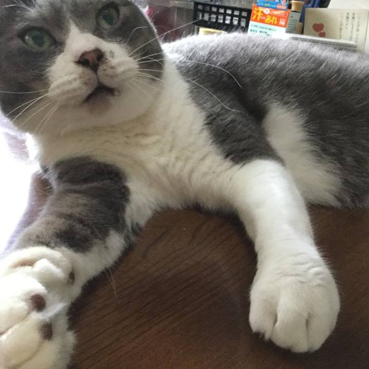 95400d38 ceb5 4aff a7ad 741eca327569 1564878209767