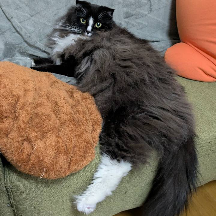 954024c3 414d 416c af34 db34f01b0ae3 1736979094295