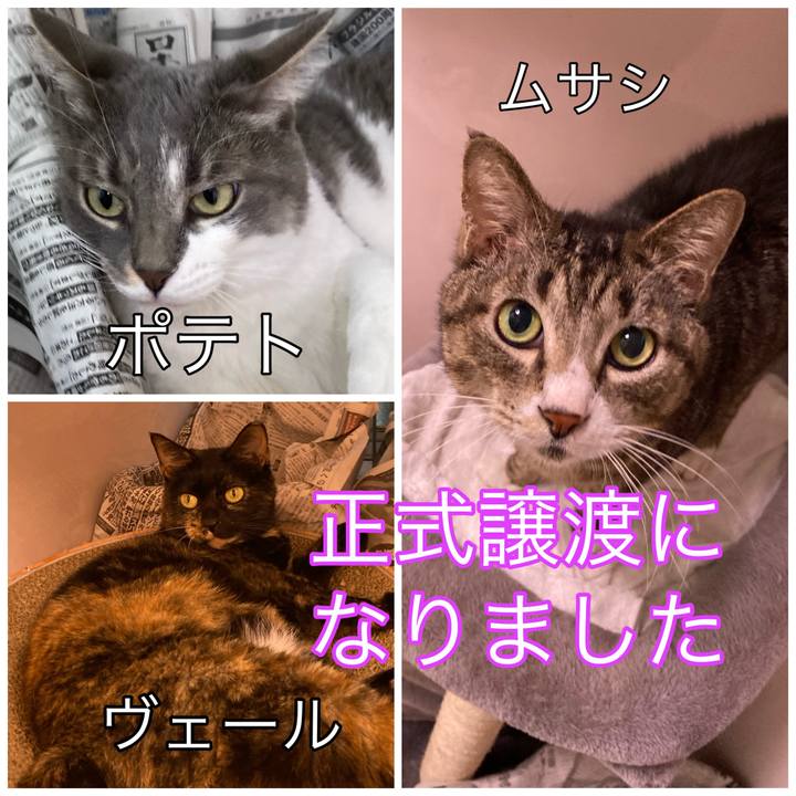 95406e73 2bc5 409d 8f38 1dfbb22ee229 1705392086790