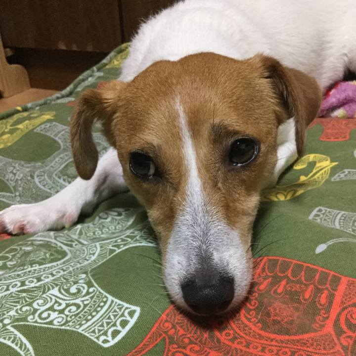 954092fb 8abe 433b 960b 5d4d71cb260f 1531911043570