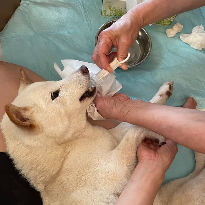 954094d8 6700 405a b54e b568d0938d70 1656130571267