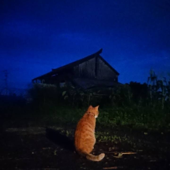 9540b787 7bdc 4007 b168 18f2b4790f55 1596971935497