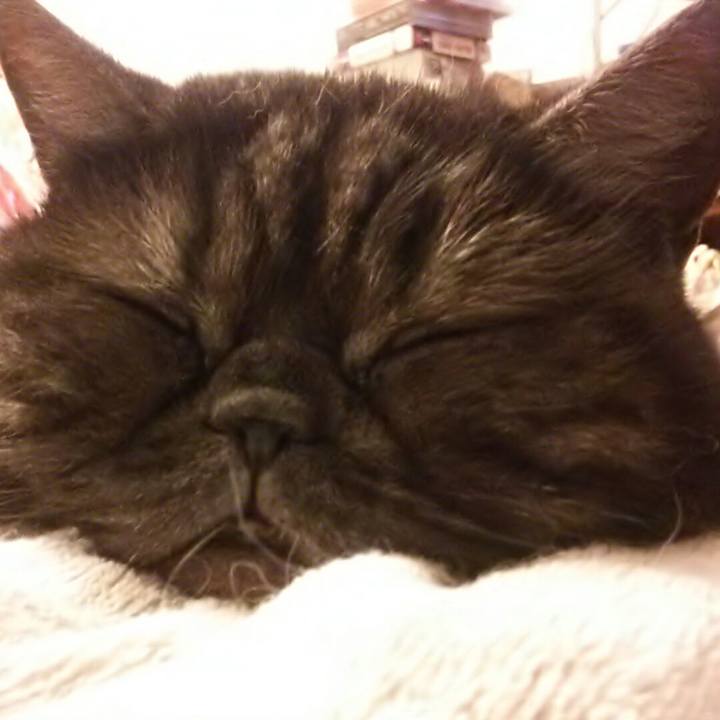 9540b94b ac8e 4356 a303 0a0885514a11 1516870862334