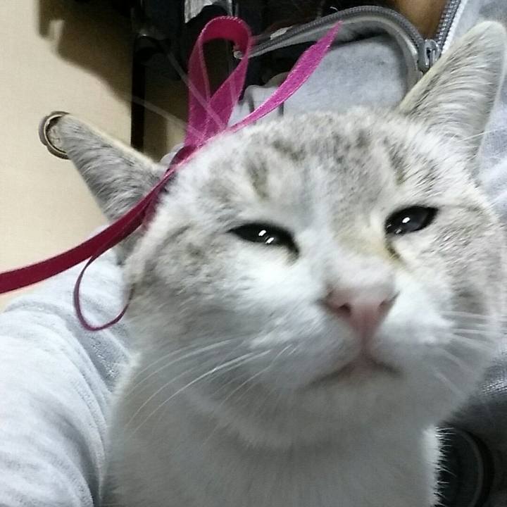 9540c307 2968 488e 9ecc 53f7d4167725 1517322898135