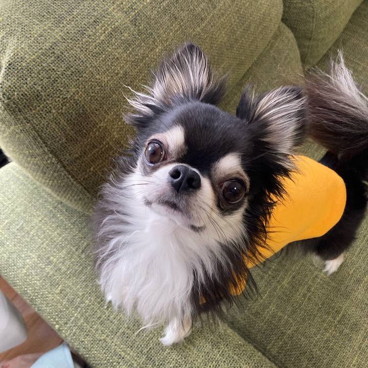 9540d609 af0b 4361 af6b ee9873506c83 1681619720478