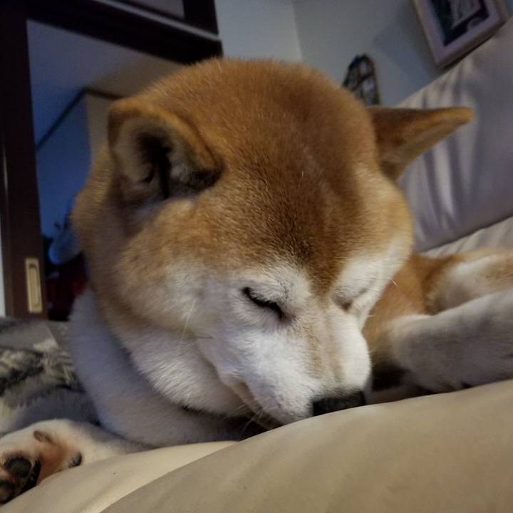 95411e7a 75e1 4a95 9435 8b5b34abf837 1636927065671