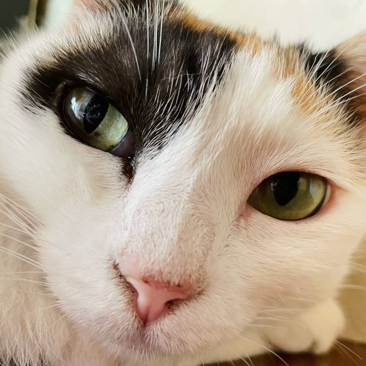 9541200b 2b1d 406a aab6 6917af9566e8 1662428782761