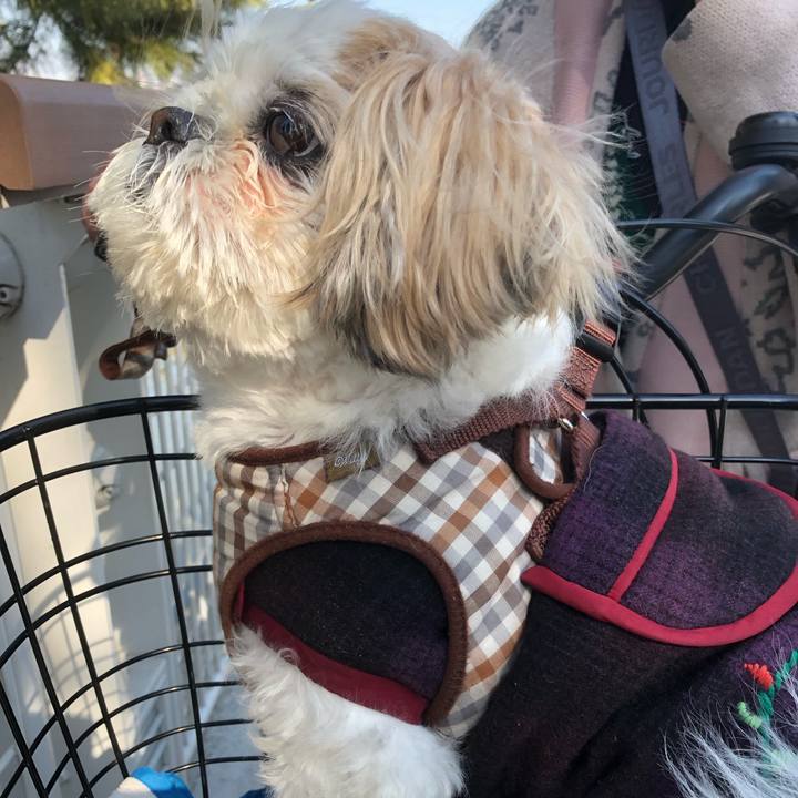 95412e49 5410 41da 8137 27625fb0949d 1551736077857