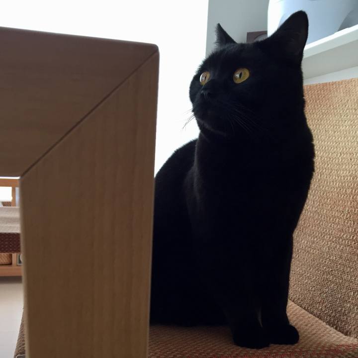 95413089 d1c9 449d 8ab8 98ab1d93ef56 1517016360303